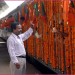 खड़से महाराष्ट्र भाजपा विधायक दल के नेता निर्वाचित