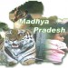सपनों को सच करने की जिम्मेदारी -संजय द्विवेदी