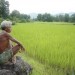 किसान का गौरवशाली अतीत था, आज किसान को मार्गदर्शन चाहिए
