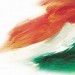 सांप्रदायिक सदभाव की मिसाल गुलशन बानो