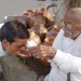 जल सेवा : पानी ही अमृत है