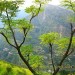 कहानी/ स्वप्न संसार