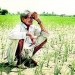 फिर हाशिये पर जमीन और किसान