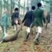 म.प्र. दुर्लभ प्राणियों की शिकार नीति
