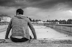 गधों पर दाँव