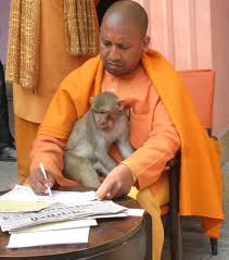 योगी के नेतृत्व में भाजपा तैयार,विपक्षी खेमे में सीटों पर तकरार