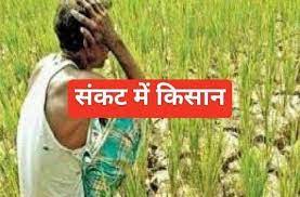 उर्वरक आयात पर निर्भरता खतरनाक, 70 फीसदी तक कर रहे आयात,