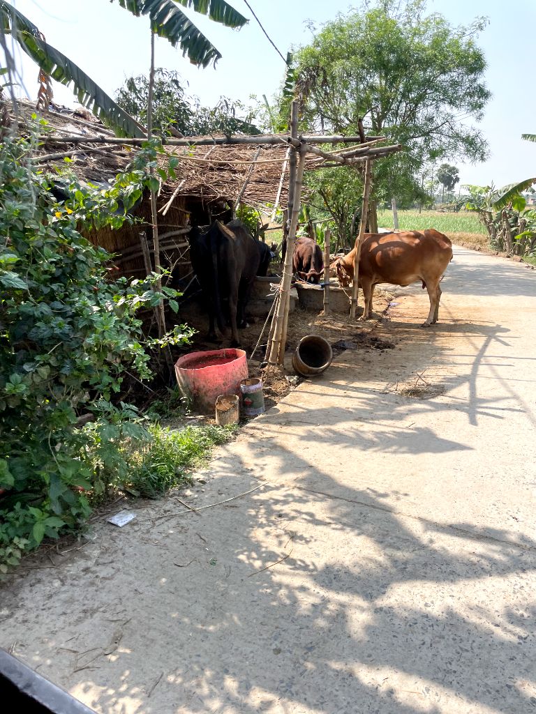 क्या स्वच्छता अभियान ने बदली है गांव की तस्वीर?