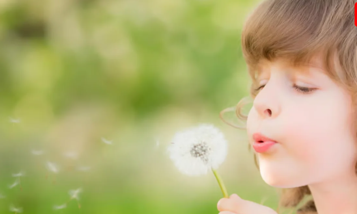 आशा, करुणा और मानवीय संवेदनाओं का जीवंत उत्सव