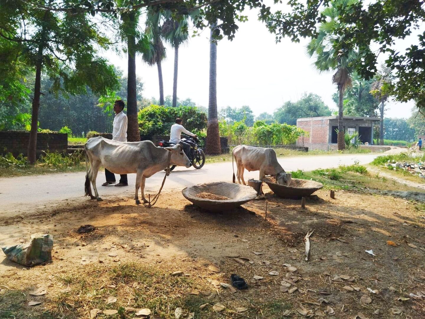 नाम बदला, उम्मीदें नहीं बदलीं
