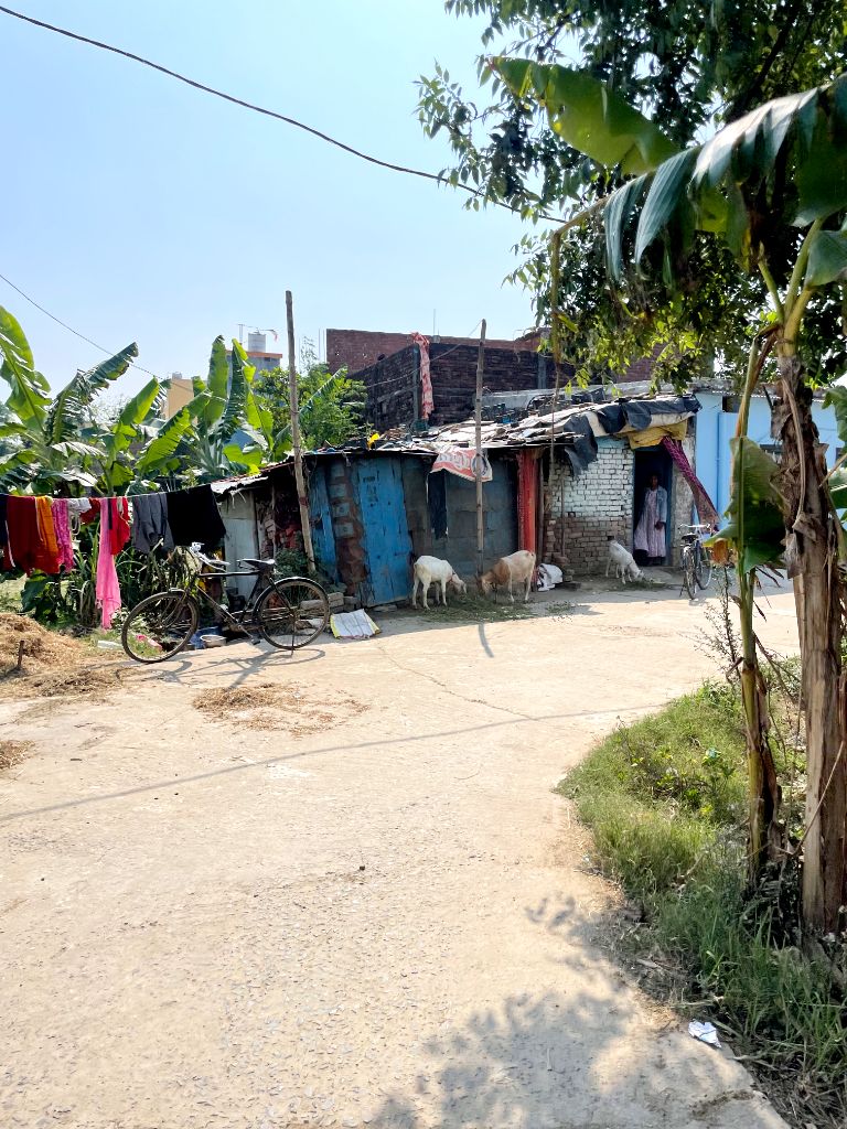 दूषित पानी में डूबती स्वच्छता की उम्मीद