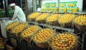 Indian-mangoes