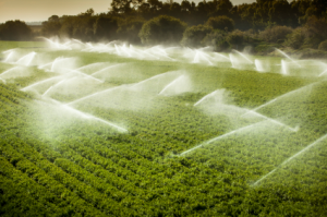 irrigation