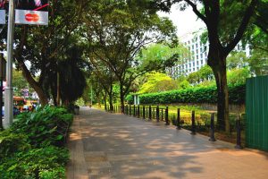 green corridor