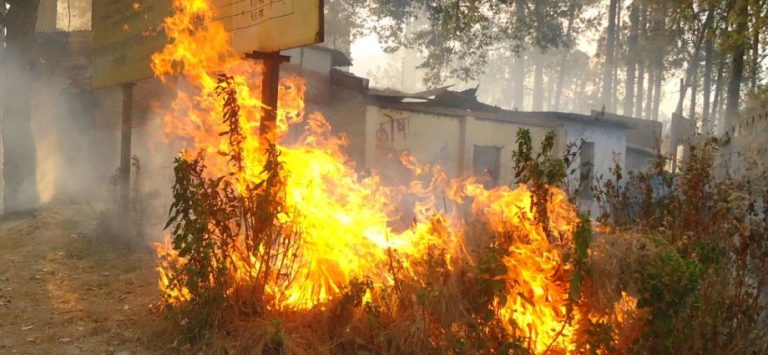 उत्तराखंड: जंगलों में लगी आग से वन संपदा को हुआ खासा नुकसान