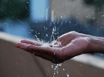 rainwater