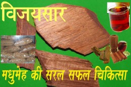Vijaysar