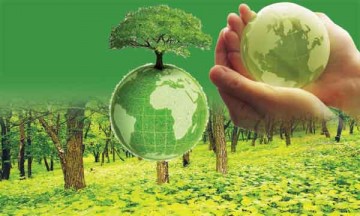 पर्यावरण: संरक्षण और प्रदूषण की समस्या एक चुनौती