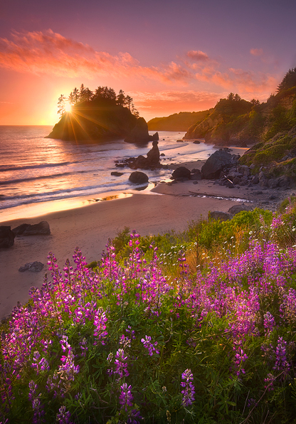 Beach Garden