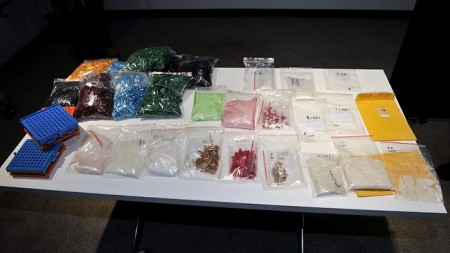 drug-bust