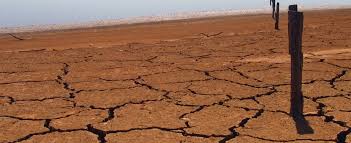 drought in india