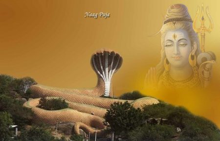 नागपूजन