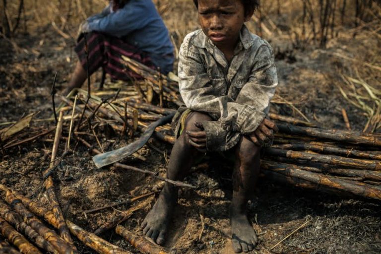 बाल श्रम समाज के मुंह पर शर्मनाक थप्पड़