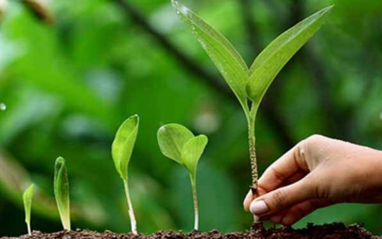 पृथ्वी के अस्तित्व का आधार है पर्यावरण