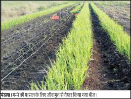 जीरो बजट खेती के लिये आचार्य देवव्रत के प्रयत्न