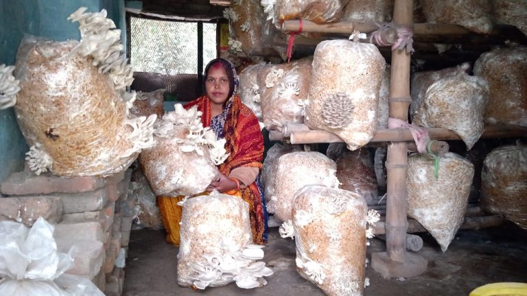 मशरूम की खेती से रोजगार सृजन करती ग्रामीण महिलाएं