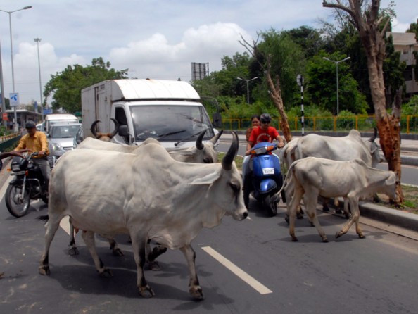<strong>चंडीगढ़ : नाम बड़े दर्शन छोटे</strong>